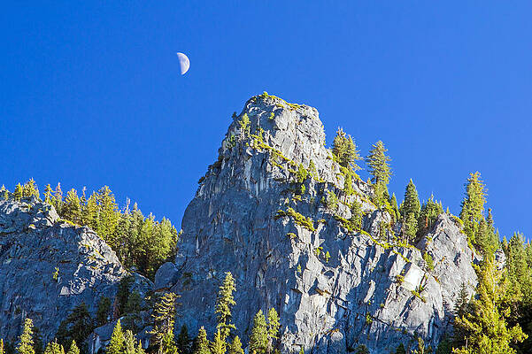 Sky Wall Art featuring the photograph Sierra Moonrise by Nicholas Blackwell