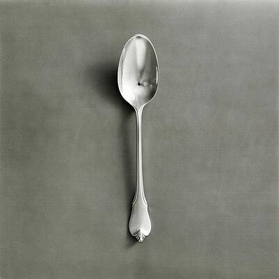 Tableware Photograph - Silver Spoon By Wallace by Tom Yee