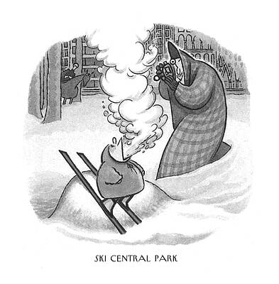 Ski Drawing - Ski Central Park by Arnold Roth