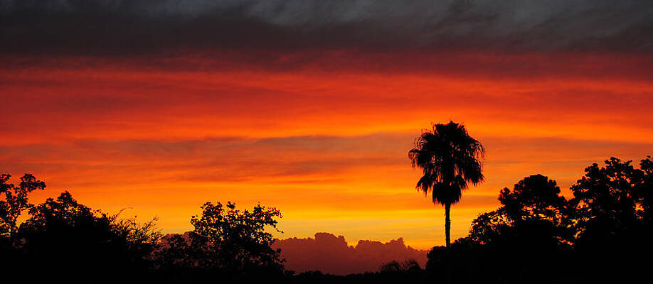 Sunrise Wall Art featuring the photograph Sky Of Fire by David Hart