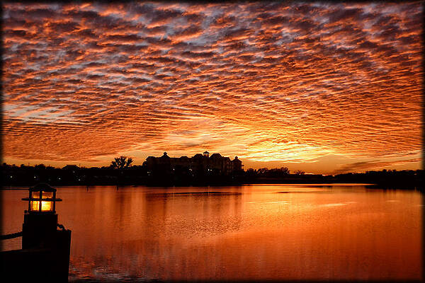Florida Photograph - Sky On Fire by Ghostwinds Photography