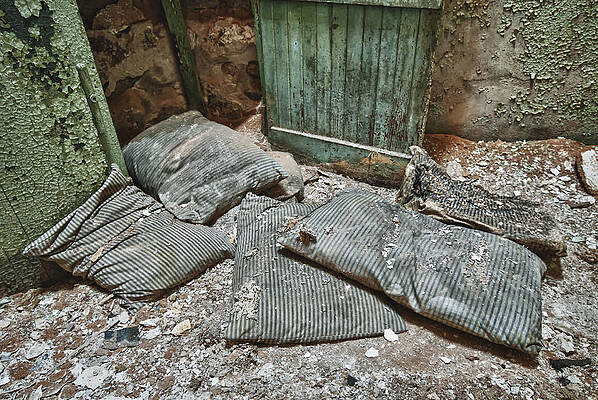 Montana Wall Art featuring the photograph Slumber Party by Ghostwinds Photography