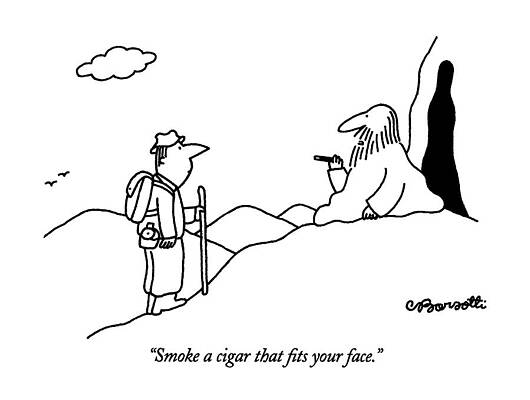Humorous Cigar Advice Cartoon Drawing