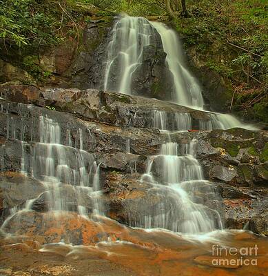 Serene Forest Waterfall Wall Art
