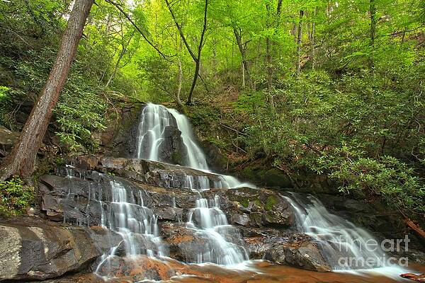Mountain Wall Art featuring the photograph Smoky Mountains Laurel Falls Landscape by Adam Jewell