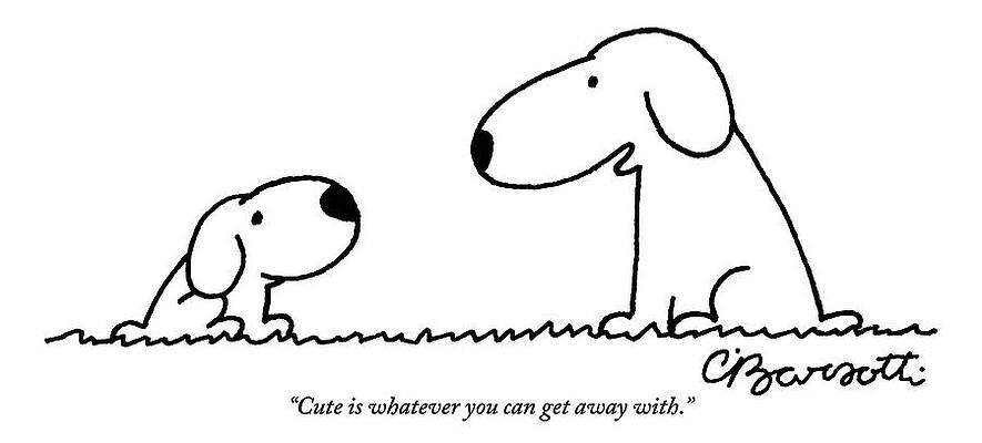 Two Cartoon Dogs with a Quote Wall Art