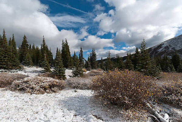 Sky Wall Art featuring the photograph Snow And Cloud Symmetry by Cascade Colors