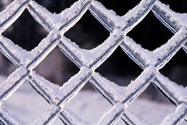 Winter Wall Art featuring the photograph Snowcapped Fence by Kelley King