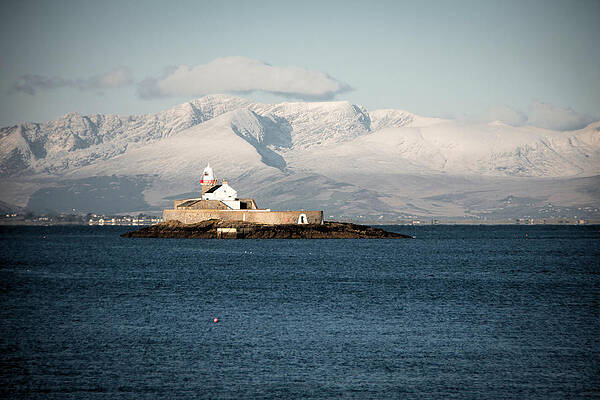 Water Wall Art featuring the photograph Snowy Little Samphire by Mark Callanan