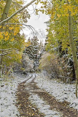 Wall Art featuring the photograph Snowy Road In Fall by Jeff Stoddart