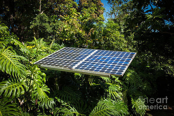 Wall Art featuring the photograph Solar Panel In Jungle by Blake Webster