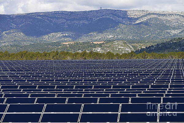 Expansive Solar Panel Array and Mountains Wall Art