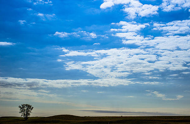 Photograph - Solitude by Adam Mateo Fierro