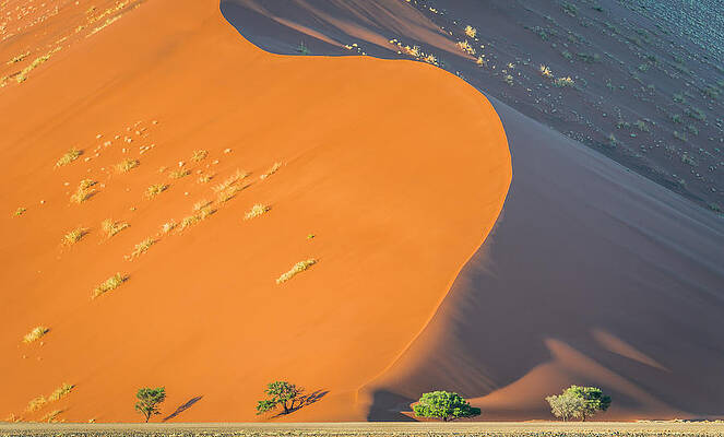 National Wall Art featuring the photograph Sossusvlei Dawn - Namibia Sand Dune Photograph by Duane Miller