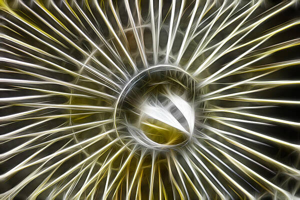 Wall Art featuring the photograph Spectacular Spokes by Joann Copeland-Paul