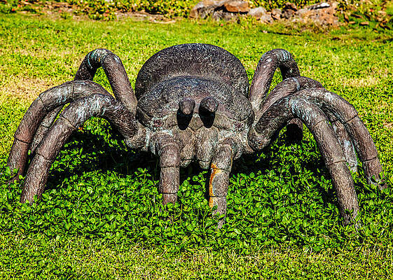 Wall Art featuring the photograph Spider Sculpture by Omaste Witkowski