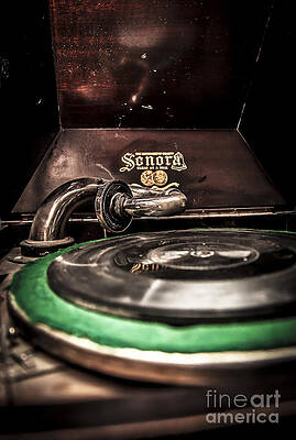 Wall Art featuring the photograph Spin That Record by Darcy Michaelchuk