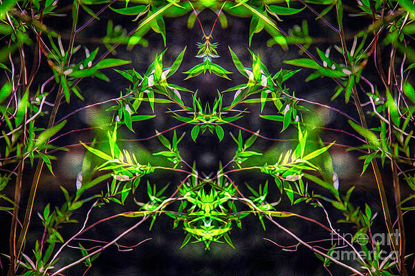 Wall Art featuring the painting Spiritual Intoxication by Omaste Witkowski