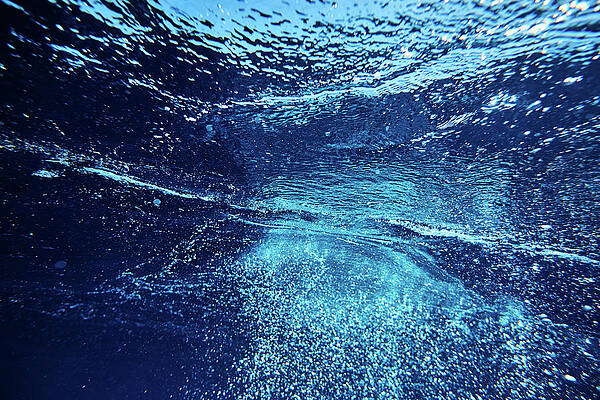 Vibrant Underwater Scene Wall Art