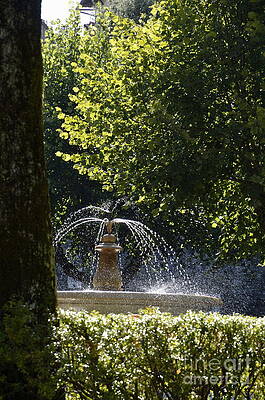 Color Image Wall Art featuring the photograph Splashing Water From Fountain by Sami Sarkis Photography