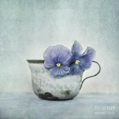 Pansies in an Antique Mug Wall Art