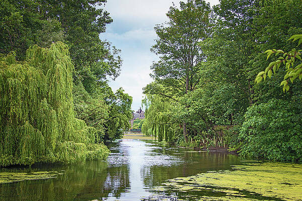 Tranquil River Through Lush Greenery Wall Art