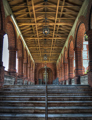 David Photograph - Stairway To History by David Hart