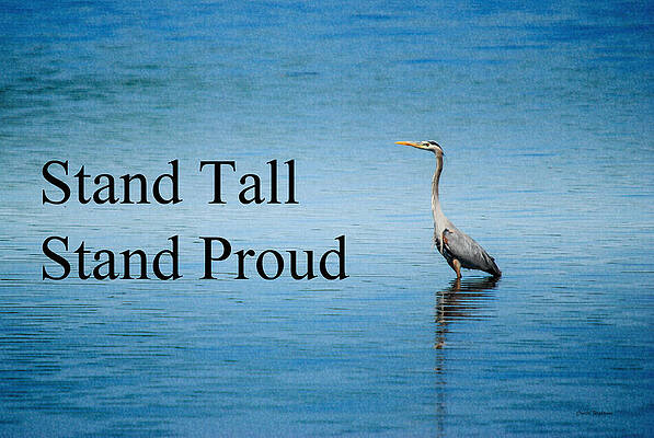 Color Photograph - Stand Tall Stand Proud by Crystal Wightman