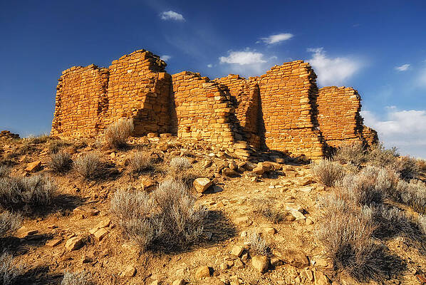 Sacred Wall Art featuring the photograph Standing Proud by Ghostwinds Photography