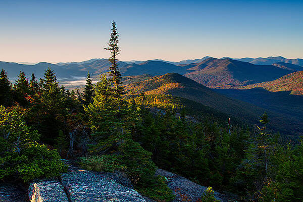 Photograph - Standing Tall On Mt. Crawford by Jeff Sinon