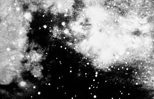 Starry Night Sky in Black and White Wall Art