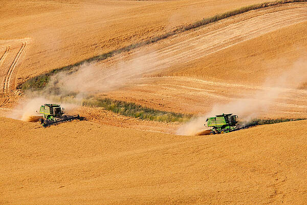 Summer Photograph - Starting To Work by Mary Jo Allen