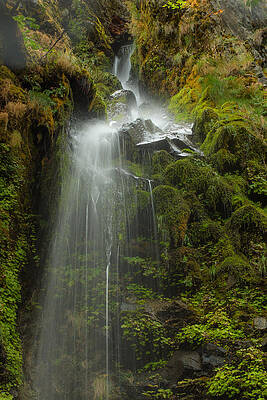 Water Wall Art featuring the photograph Starvation But Not Dehdration by Jean Noren