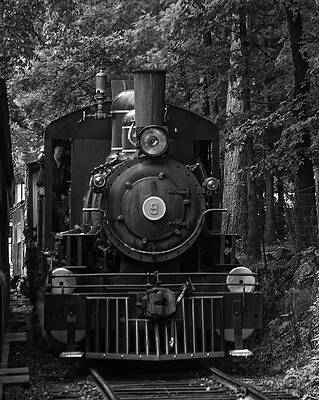 Transportation Photograph - Steam Engine Train by Flees Photos