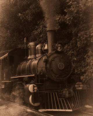 Transportation Photograph - Steam Engine Train Sepia by Flees Photos