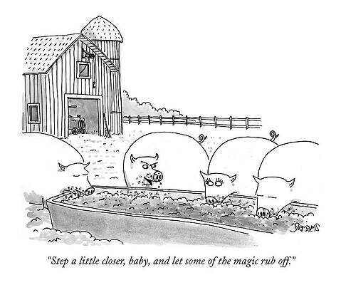 Barnyard Pig Conversation Drawing