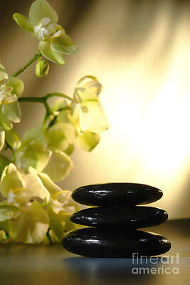 Stone Cairn and Orchids by Olivier Le Queinec
