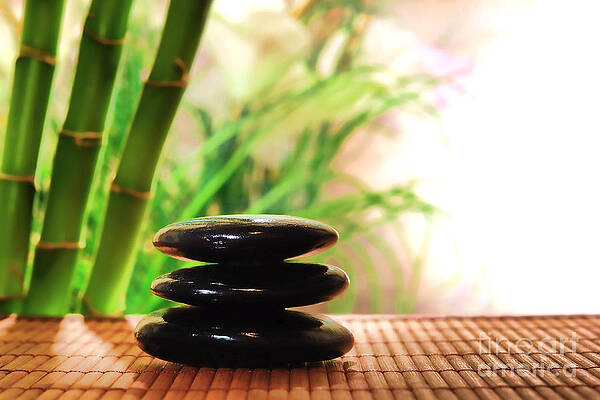 Zen Garden with Bamboo and Stones Wall Art