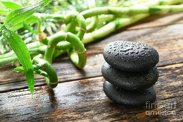 Wall Art featuring the photograph Stones And Bamboo by Olivier Le Queinec