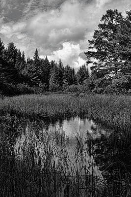 Wall Art featuring the photograph Storm Clouds Rolling In Over The Creek by Dale Kauzlaric