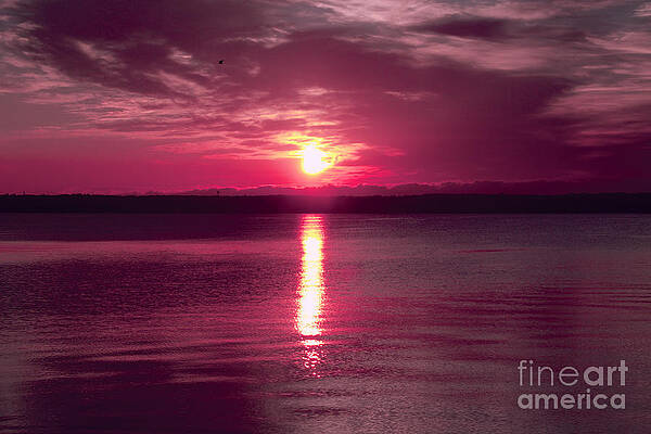 Sunrise Photograph - Stormy Sunrise by William Norton