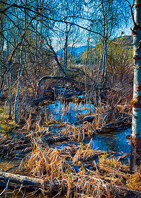 Wall Art featuring the photograph Streaming Beauty by Omaste Witkowski