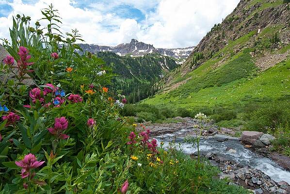 Colorado Photograph - Summer In The San Juans by Cascade Colors