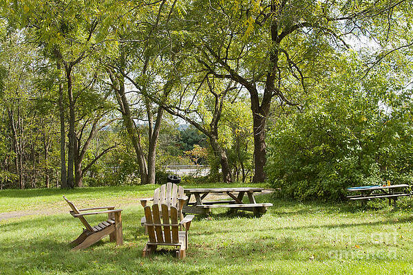 Summer Photograph - Summer Setting by William Norton