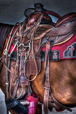 Horse Wall Art featuring the photograph Sunday Saddle by Carla E