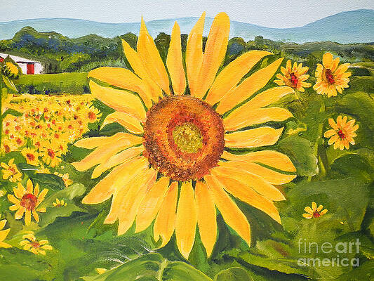 Painting - Sunflower - Burst Of Color by Jan Dappen