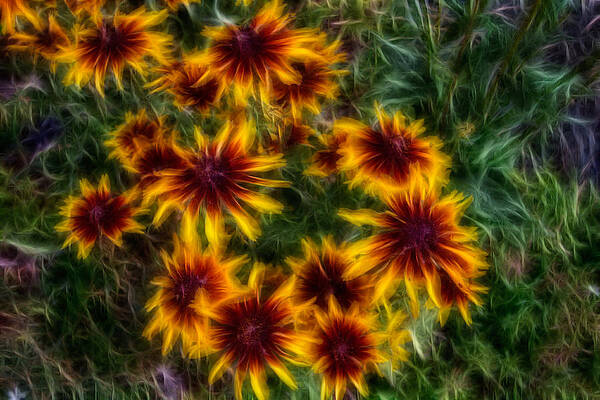 Summer Painting - Sunflower Saturation by Omaste Witkowski