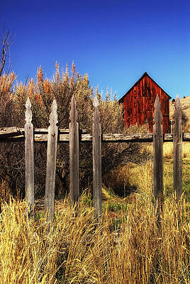Montana Wall Art featuring the photograph Sunglow Barn 2 by Ghostwinds Photography