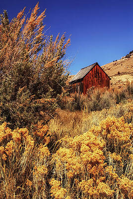 Montana Wall Art featuring the photograph Sunglow Barn by Ghostwinds Photography