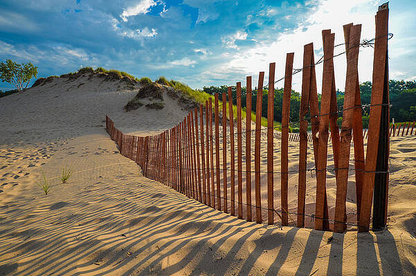 Michigan Wall Art featuring the photograph Sunny Morning On The Dunes by Owen Weber